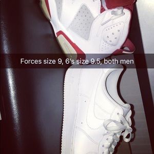 Jordan Alternate 6’s